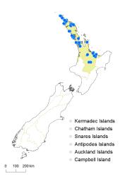 Thelypteris confluens distribution map based on databased records at AK, CHR and WELT. 
 Image: K. Boardman © Landcare Research 2015 CC BY 3.0 NZ